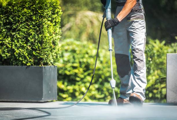 Best Driveway Pressure Washing  in Las Lomas, TX